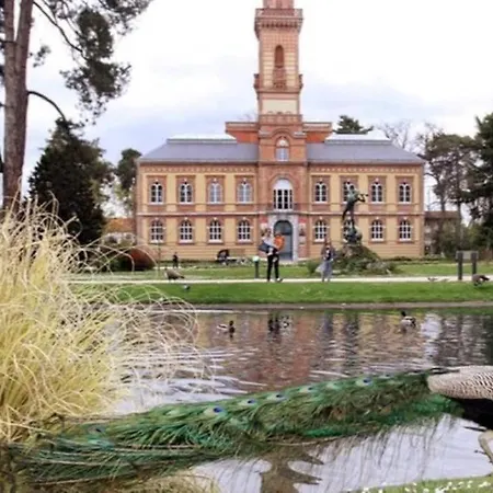 Appartement Le Zen -studio équipé- Wifi Fibre- Centre Avec Parking *